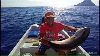 SULUADANIN KARSISINDA AKYA AVI - www.adrasanbalik.com