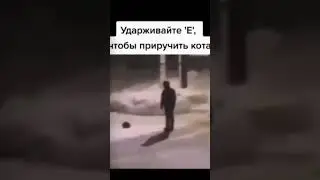 е
