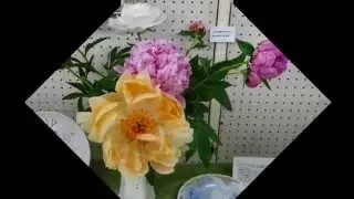 第２１回油彩画展（教室作品展）