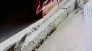 Özel Kedi Hareket  🐈 🐈
