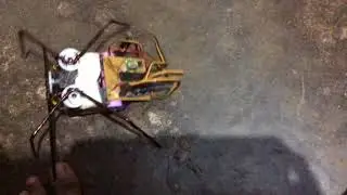 spider robot, opampbrain.com