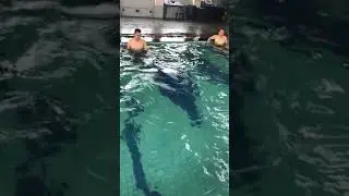 Kolam renang excelton hotel palembang