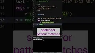 Python Pattern Search Using RegEx 