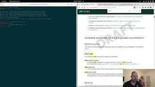 Adaptable Linux Platform (ALP) running yast-ncurses in container