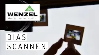 Dias scannen mit der "bee" bei WENZEL