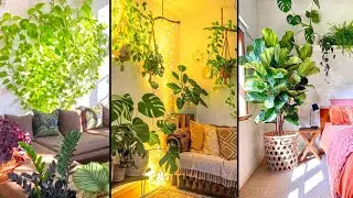 Indoor plants decoration ideas || Home Decoration Ideas Using Indoor Plants (DIY Plant decor)