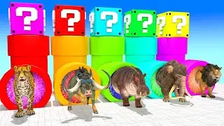 Cow Mammoth Elephant Lion Gorilla Hippo Guess Right Door ESCAPE ROOM CHALLENGE Animals Cage Game