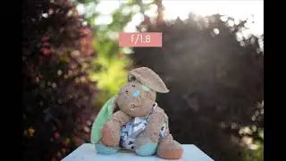 Blurry Background with Aperture