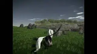 Pony Land Edit~