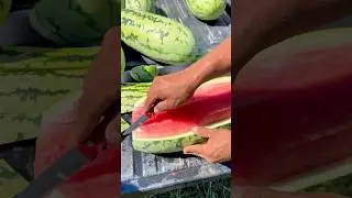 Cómo cortar una 