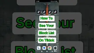 tiktok block list check