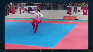 WUSHU - AGATHA WONG