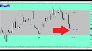 How to Trade📈 Forex Reversals Without Indicators