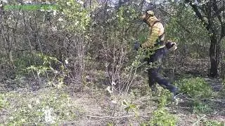 Очистка участка