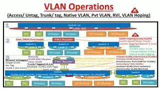 VLAN (Access, Trunk, Native, Private, RVI, Hoping)