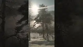 зима в деревне.