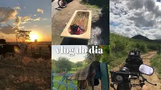 vlog de um dia qualquer na roça