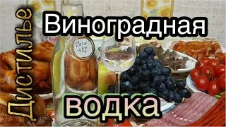 🍷Виноградная водка🍇 на оборудовании Люкссталь