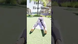What’s your favorite core exercise as a swimmer? Have you ever tried bridge reaches?