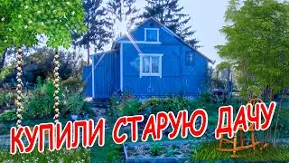 КУПИЛИ СТАРУЮ ДАЧУ  ИТОГИ ПЕРВОГО ГОДА