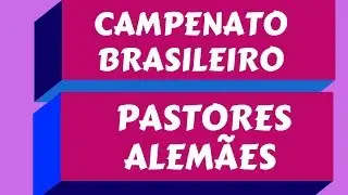 CAMPEONATO BRASILEIRO PASTORES ALEMÃES