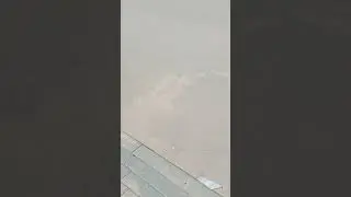 летний июльский прекрасный денёк ☀