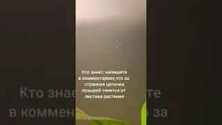16 ноября 2022 г.