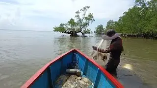 Pulang menjala udang hujan sepanjang hari