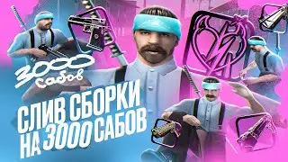 Слив ЛУЧШЕЙ сборки для EVOLVE RP и других RP проектов