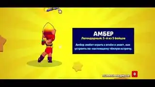 РЕАКЦИЯ НА ВЫПАДЕНИЯ АМБЕР