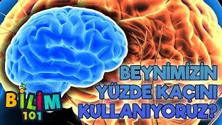 Beynimizin Yüzde Kaçını Kullanıyoruz? Beyin Nasıl Gelişir?