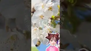 2023년 4월 5일