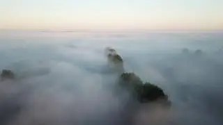 Misty Day(s)