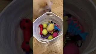 Целый год думала !!! #своимируками #шитье  #интерьер  #корзина #сделайсам