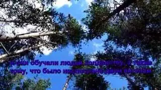 Аят СУЛЕЙМАНА (Мир ему) - чтец Сальман Утайби.