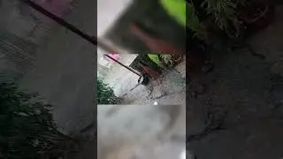 RAIN RAIN RAIN 🌧️☔