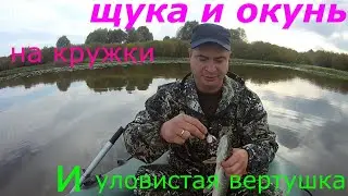 Часть2. Щука на кружки и спиннинг. Окунь предпочел вертушки