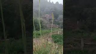 Сари Хосор Таджикистан 'Санги сабз