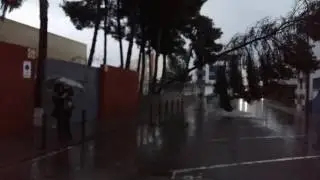 ARBOL CAIDO DESTROZA LA VALLA DEL IES DE NULES
