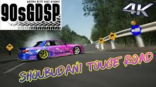 90's Golden Drift Spot Shoubudani