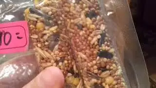 Полка моего хомяка|Что же на ней???