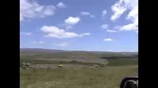 Cross Country - New Zealand 03