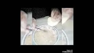 chicken dumplings