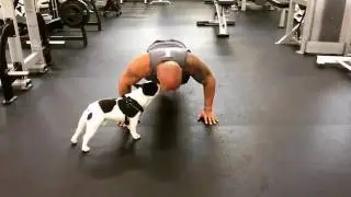 The rock 22 pushup challenge Done.