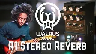 Walrus Audio R1 | Mako Series Stereo Reverb | STEREO RIG TONES!