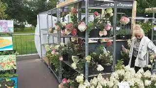 Flower Fair at VDNKh 2020