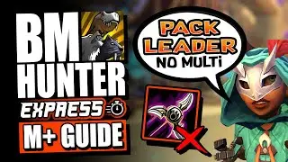 11.2.5 BM Hunter M+ Guide | No Multi-Shot | TWW Season 3 | Talents, Rotations, Gear and More!