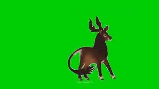 Deer Running green screen | Editor G