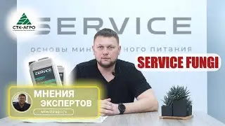 Препарат SERVICE FUNGI