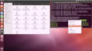 How to setup anonymous VPN connection OpenVPN on Ubuntu Linux